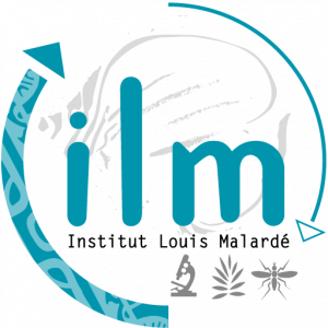 Ilm-logo